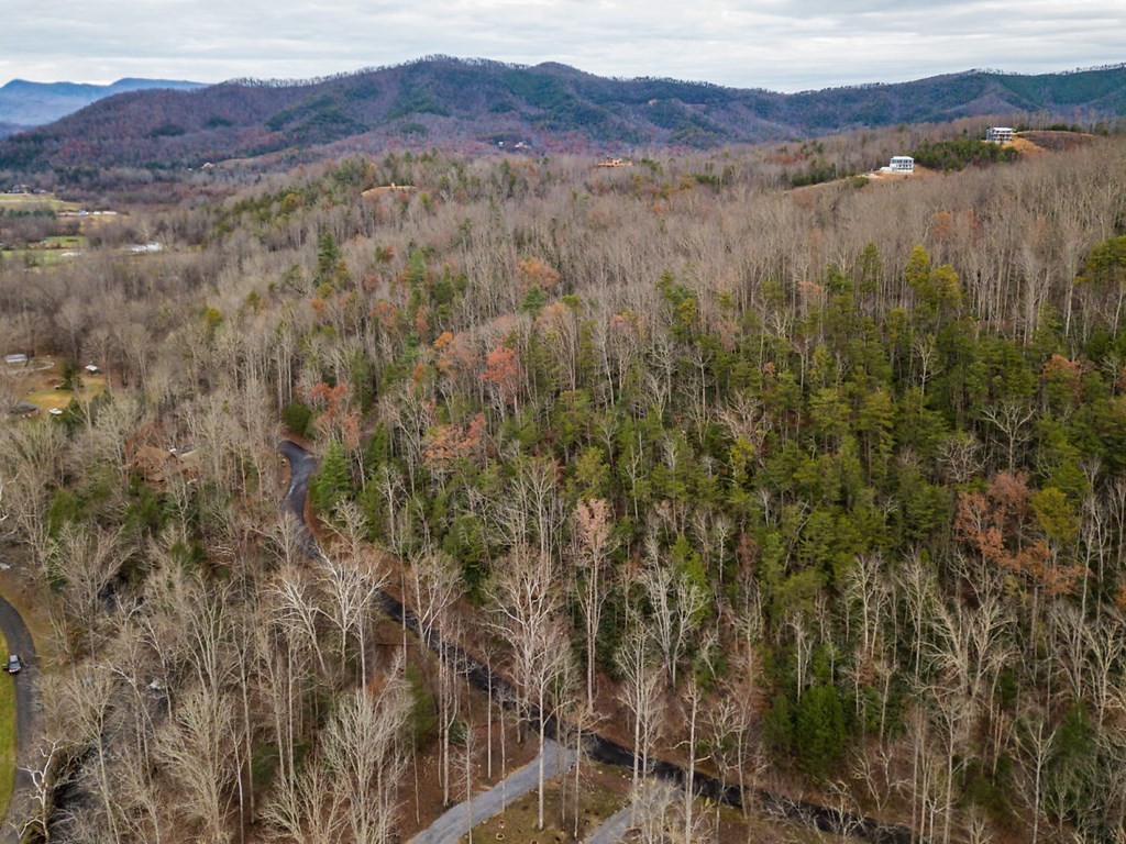 0 Sonshine Ridge Cosby, TN 37722 - Photo 13 of 29 a view of mountain and a forest
