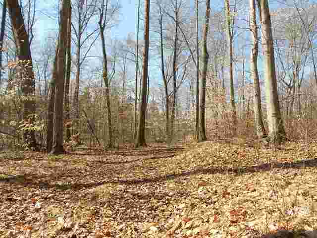 3407 East Sutton Road Dryden, MI 48428 - Photo 18 of 27 31130992-17.JPG