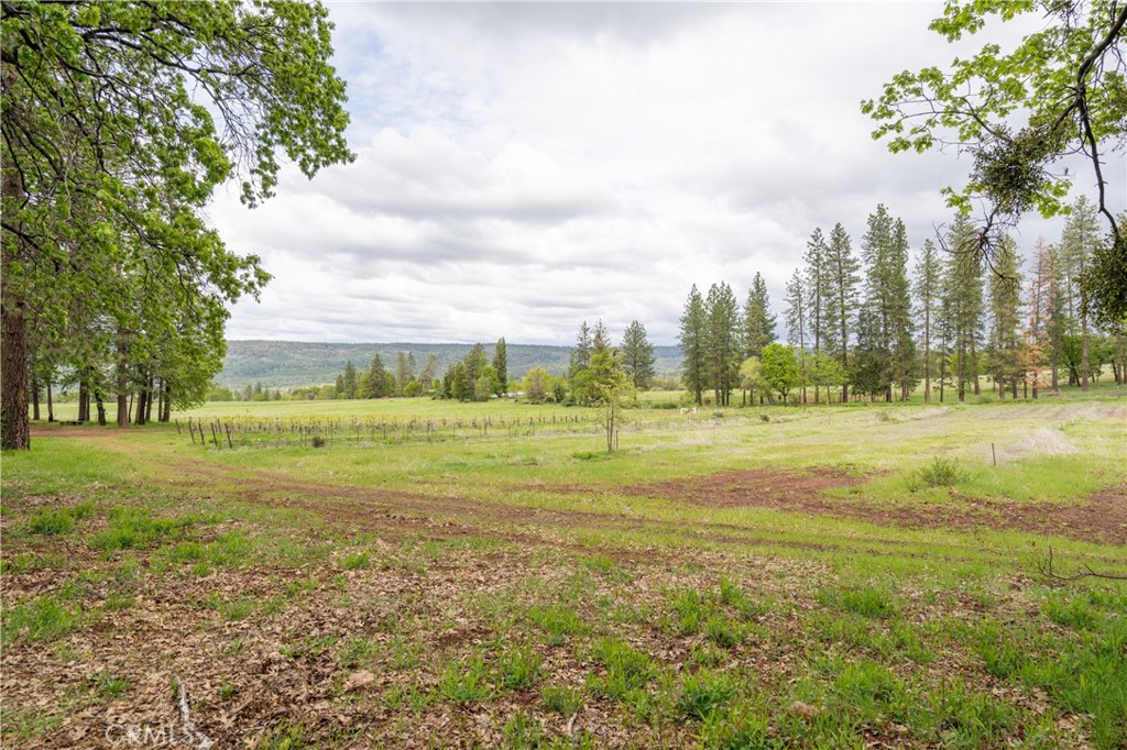 32190 Forward Mi Manton, CA 96059 - Photo 18 of 26 a view of a green field