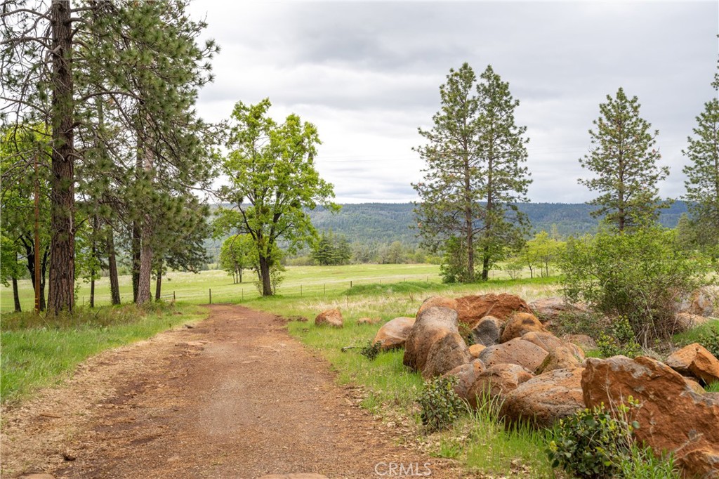 32190 Forward Mi Manton, CA 96059 - Photo 20 of 26 a view of an outdoor space with seating area