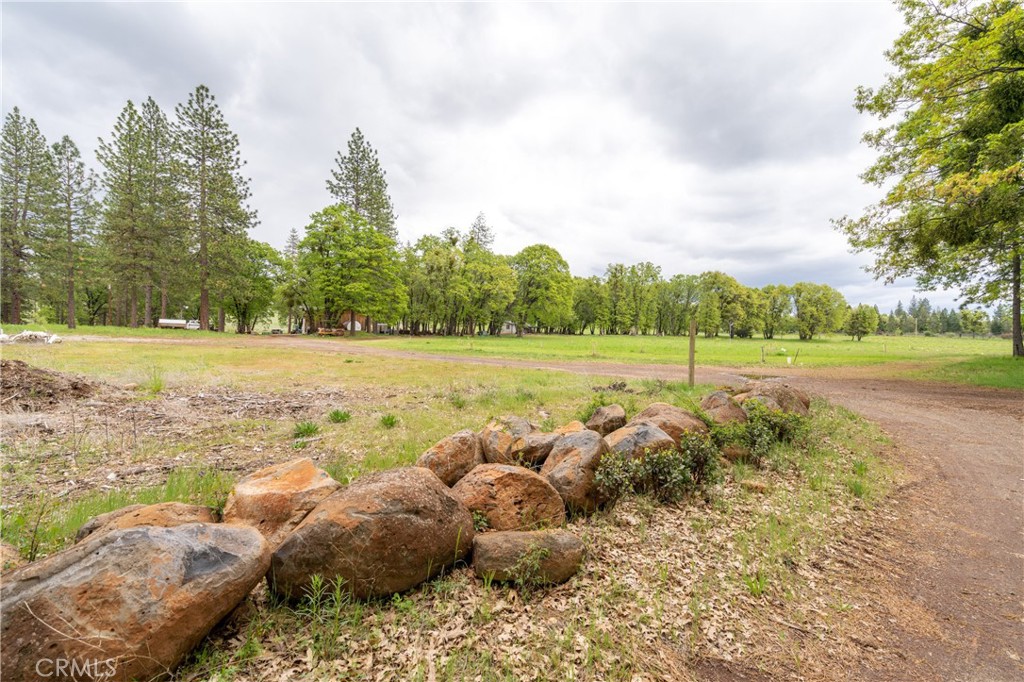 32190 Forward Mi Manton, CA 96059 - Photo 21 of 26 a view of a dry yard with trees and houses in the background