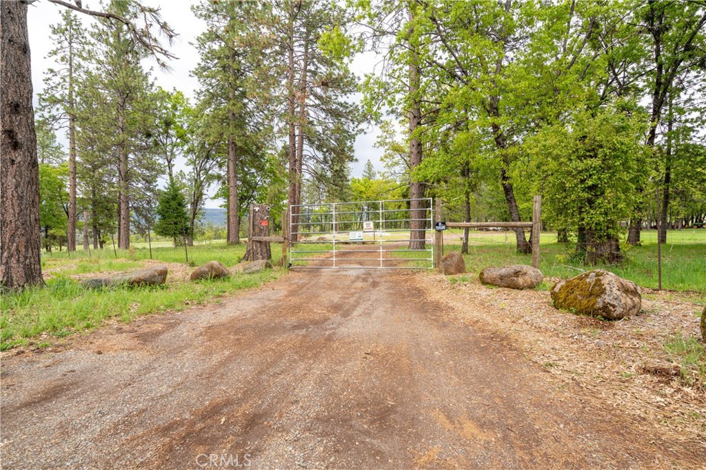 32190 Forward Mi Manton, CA 96059 - Photo 22 of 26 a view of a park with large trees