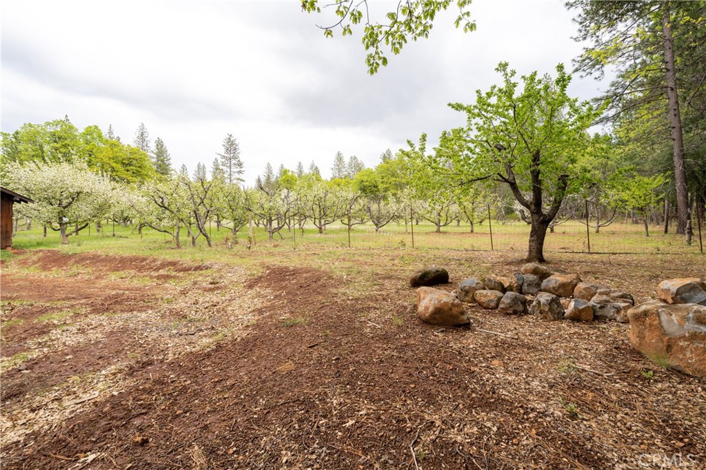 32190 Forward Mi Manton, CA 96059 - Photo 23 of 26 a backyard of a house with lots of green space