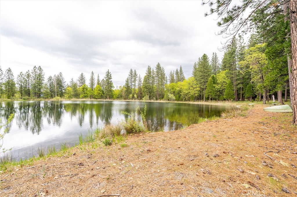 32190 Forward Mi Manton, CA 96059 - Photo 25 of 26 a view of a lake