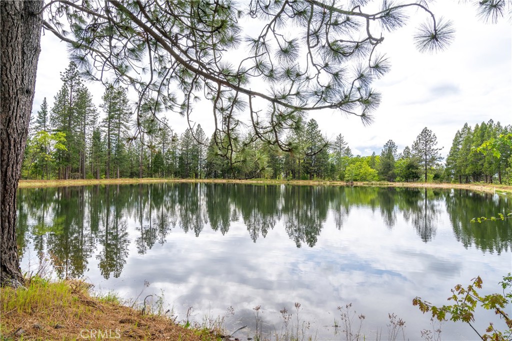 32190 Forward Mi Manton, CA 96059 - Photo 4 of 26 a view of a lake