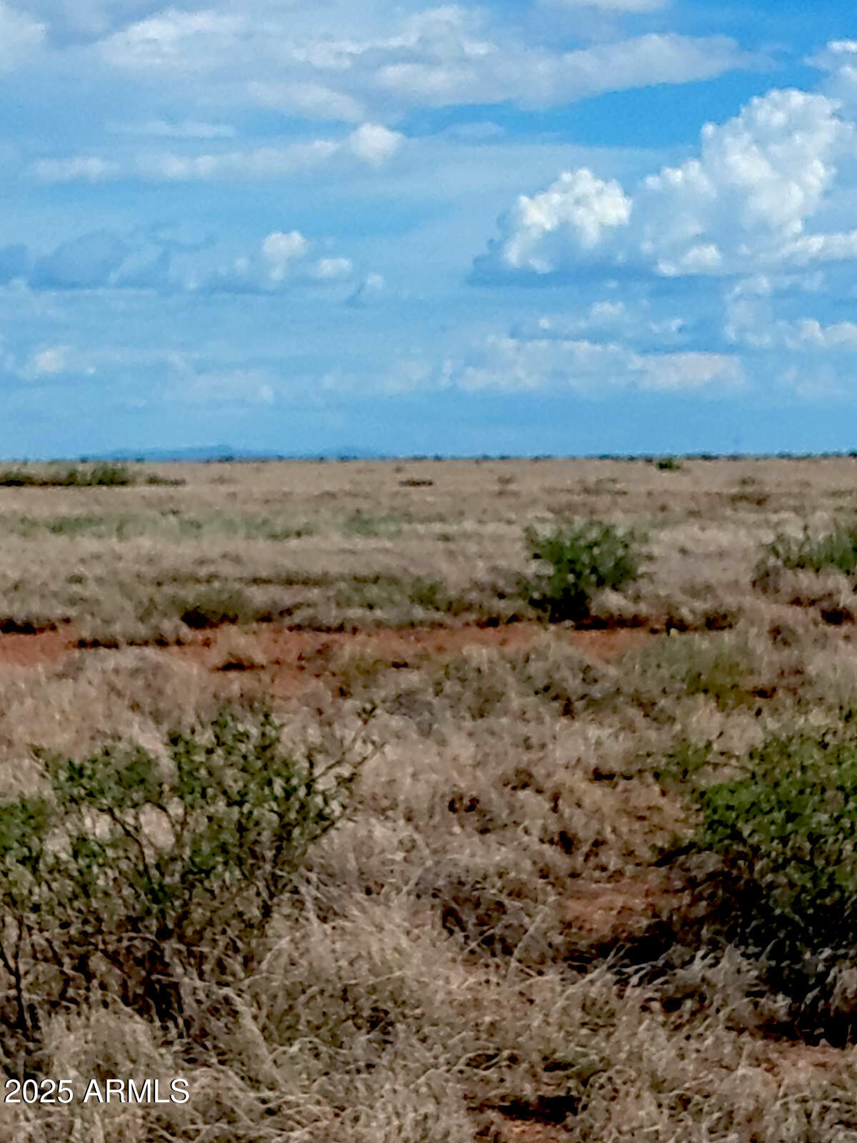 2 North Rd Mcneal Az 85617 Road, Unit 2 OF 2 McNeal, AZ 85617 - Photo 3 of 5 a view of a field