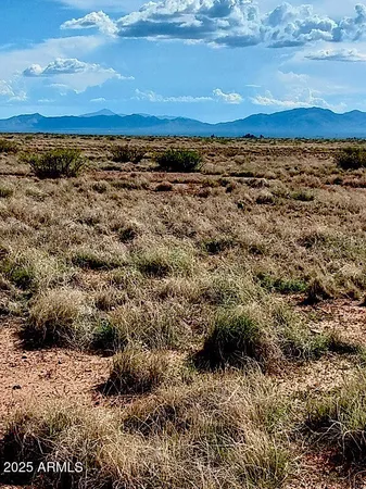 $34,032 | 2 North Rd Mcneal Az 85617 Road, Unit 2 OF 2, McNeal, AZ 85617