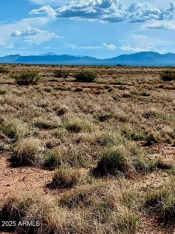 $34,032 | 2 North Rd Mcneal Az 85617 Road, Unit 2 OF 2, McNeal, AZ 85617