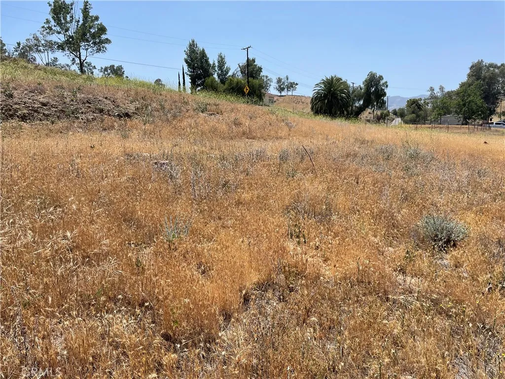 16 Riverside Drive Lake Elsinore, CA 92530 - Photo 14 of 34 a view of a dry yard with trees in the background