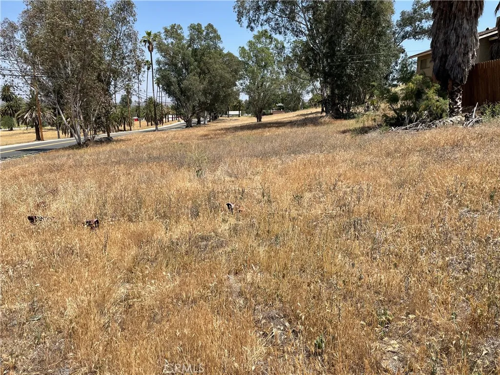 16 Riverside Drive Lake Elsinore, CA 92530 - Photo 27 of 34 a view of empty space with trees