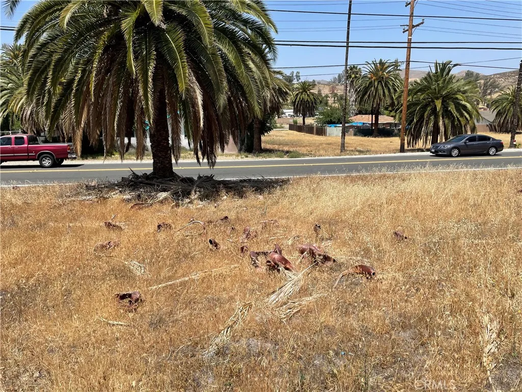 16 Riverside Drive Lake Elsinore, CA 92530 - Photo 33 of 34 a view of outdoor space with trees