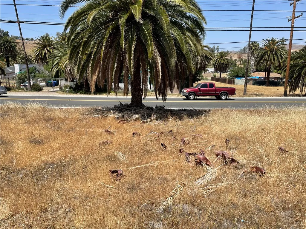 16 Riverside Drive Lake Elsinore, CA 92530 - Photo 34 of 34 a view of small garden with shower