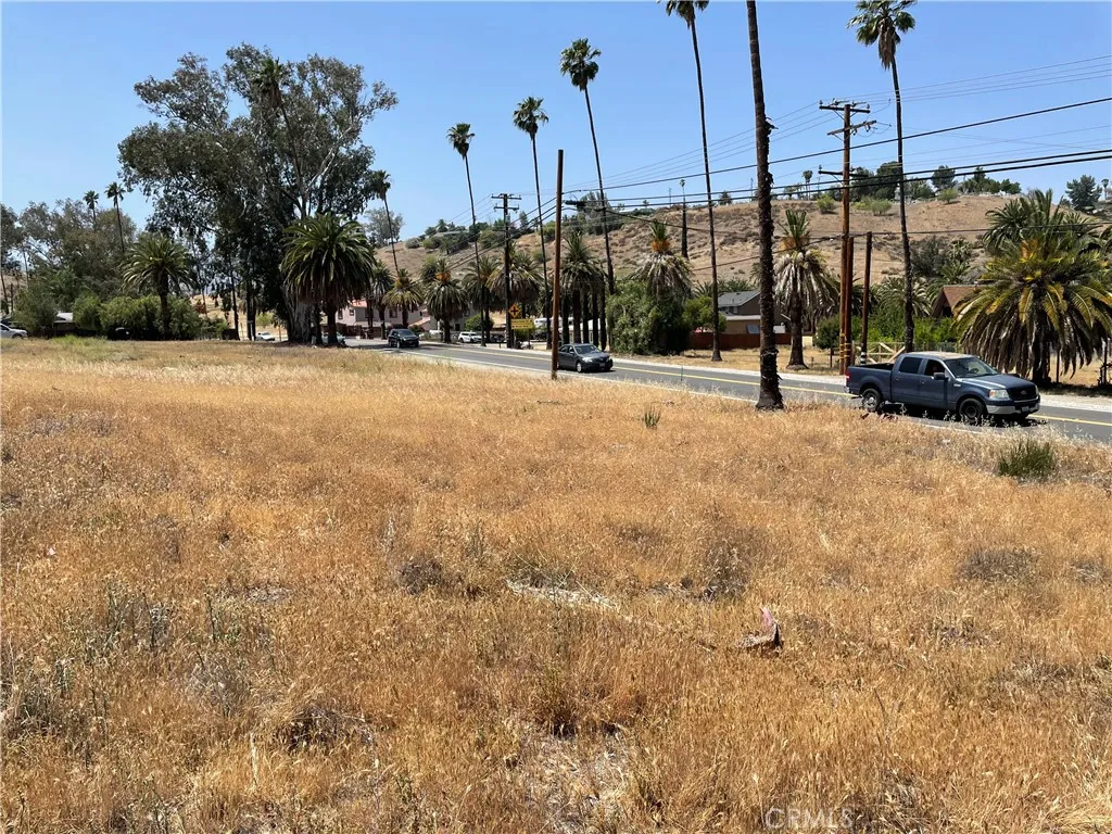 16 Riverside Drive Lake Elsinore, CA 92530 - Photo 7 of 34 a view of yard with palm trees
