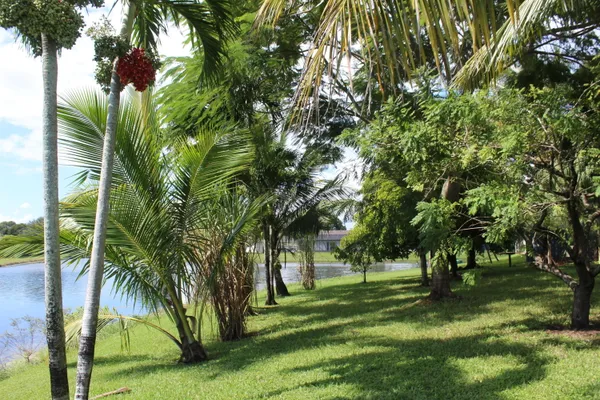 a view of a backyard with a garden