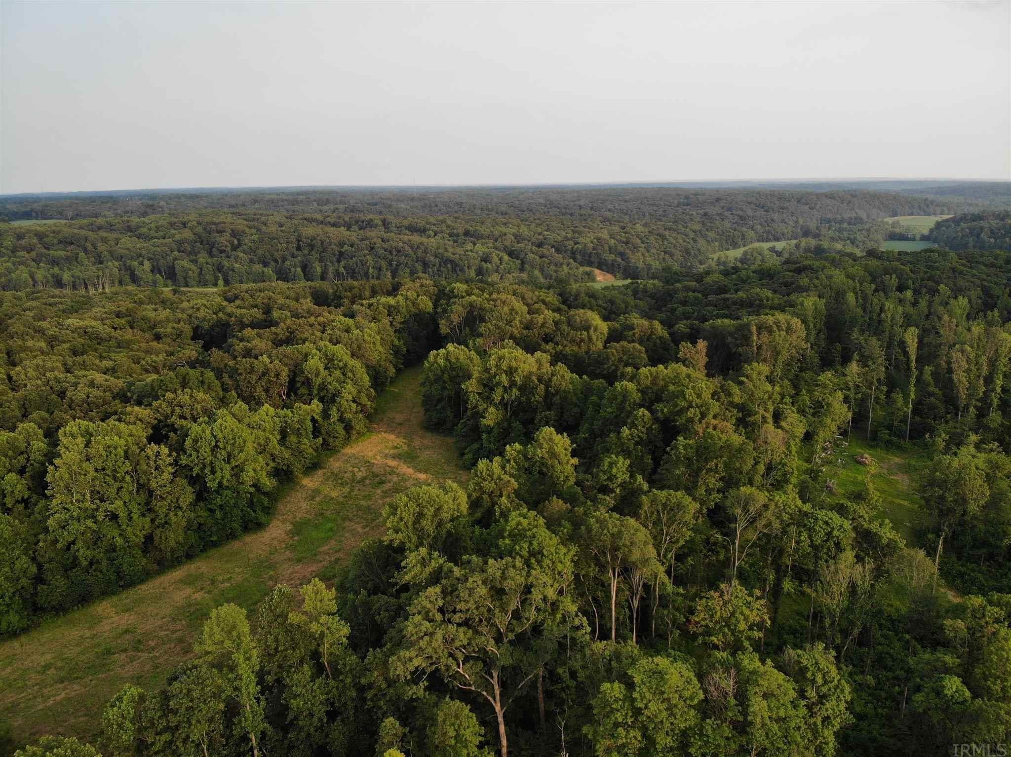 Tbd Back Creek Road Norman, IN 47264 - Photo 1 of 6 Gallery Image 1