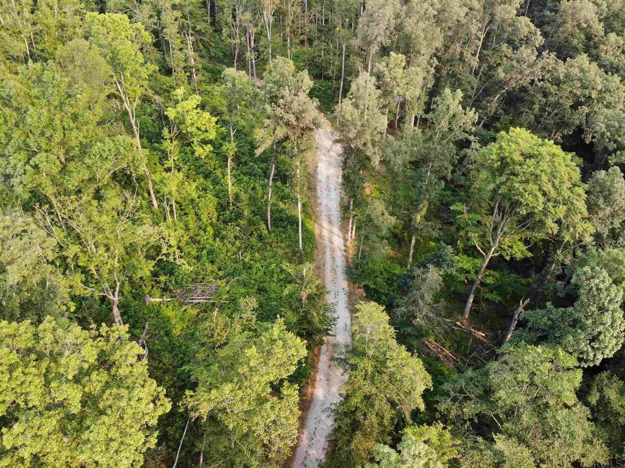 Tbd Back Creek Road Norman, IN 47264 - Photo 4 of 6 Gallery Image 4