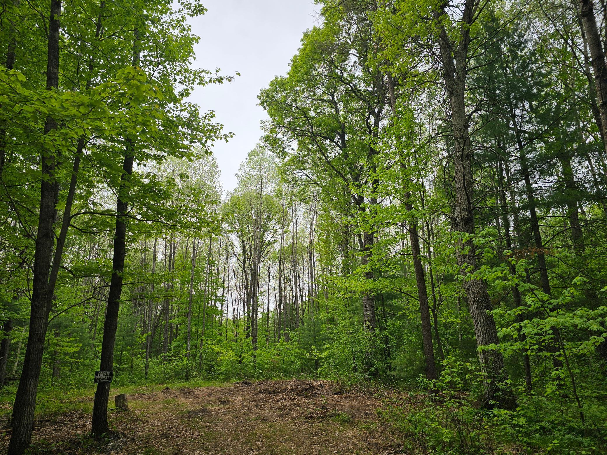 25227 Kruger Road Webster, WI 54893 - Photo 8 of 11