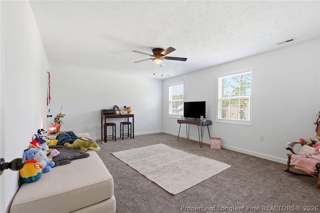 265 St Matthew Ch Road Raeford, NC 28376 - Photo 38 of 48