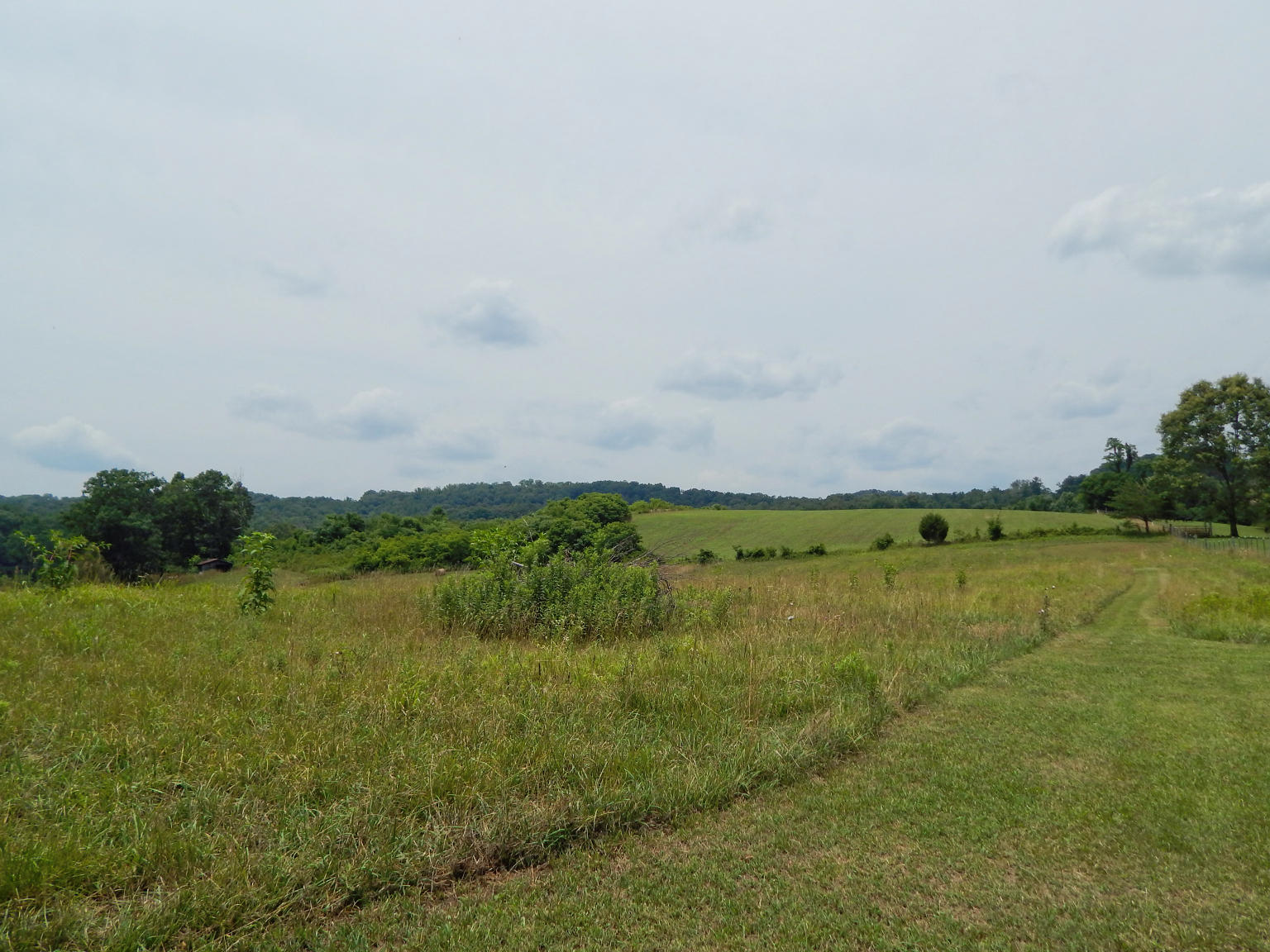267 Deerfield Road Rutledge, TN 37861 - Photo 5 of 21 DSCN3180_lzn
