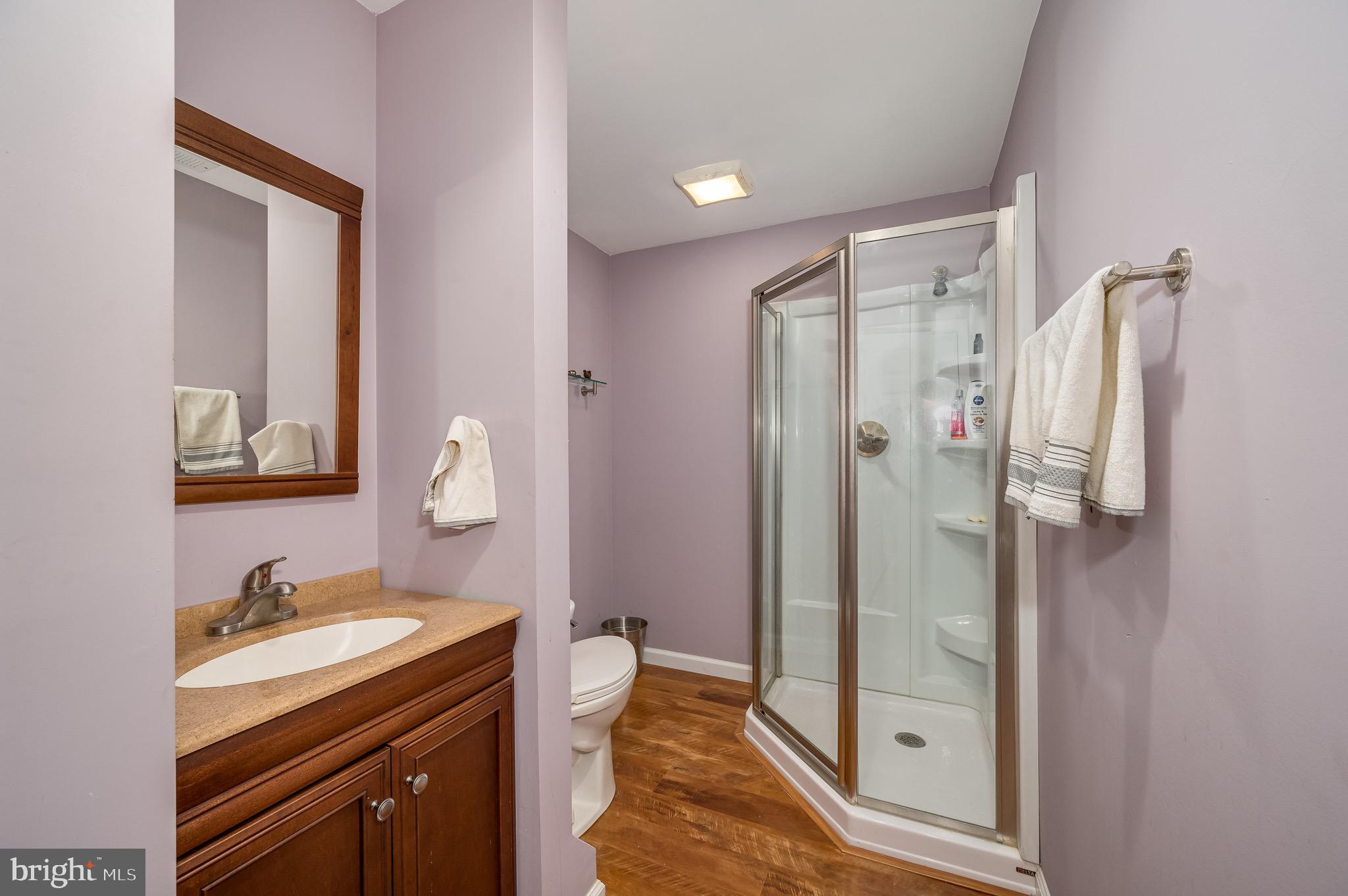 558 Rudder Road Shepherdstown, WV 25443 - Photo 39 of 60 Lower Level Full Bathroom