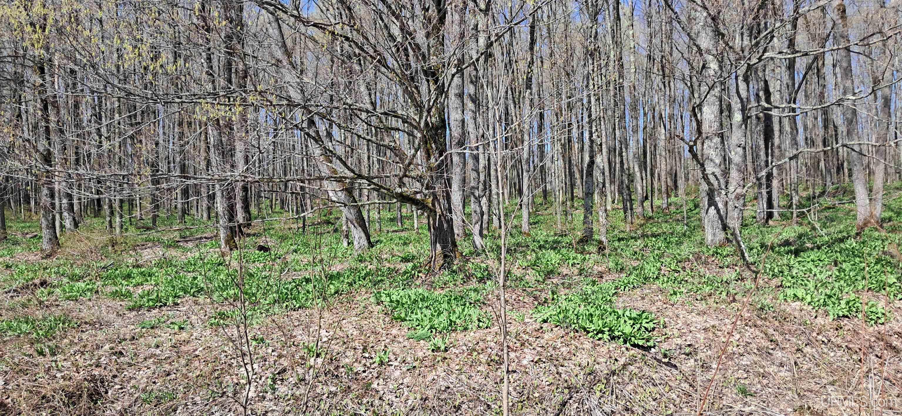 Tbd County H26 Road Rock, MI 49880 - Photo 16 of 20