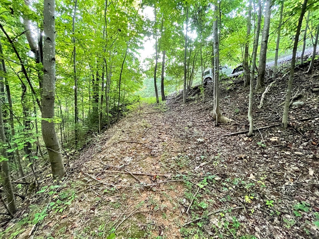 4060 Ridgeback Lane Sevierville, TN 37862 - Photo 11 of 24