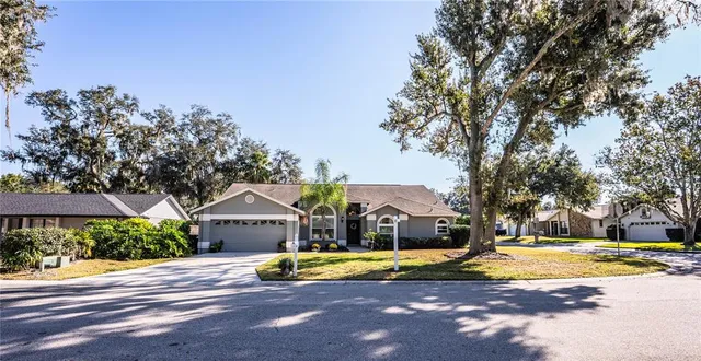 a view of a swimming pool with palm trees