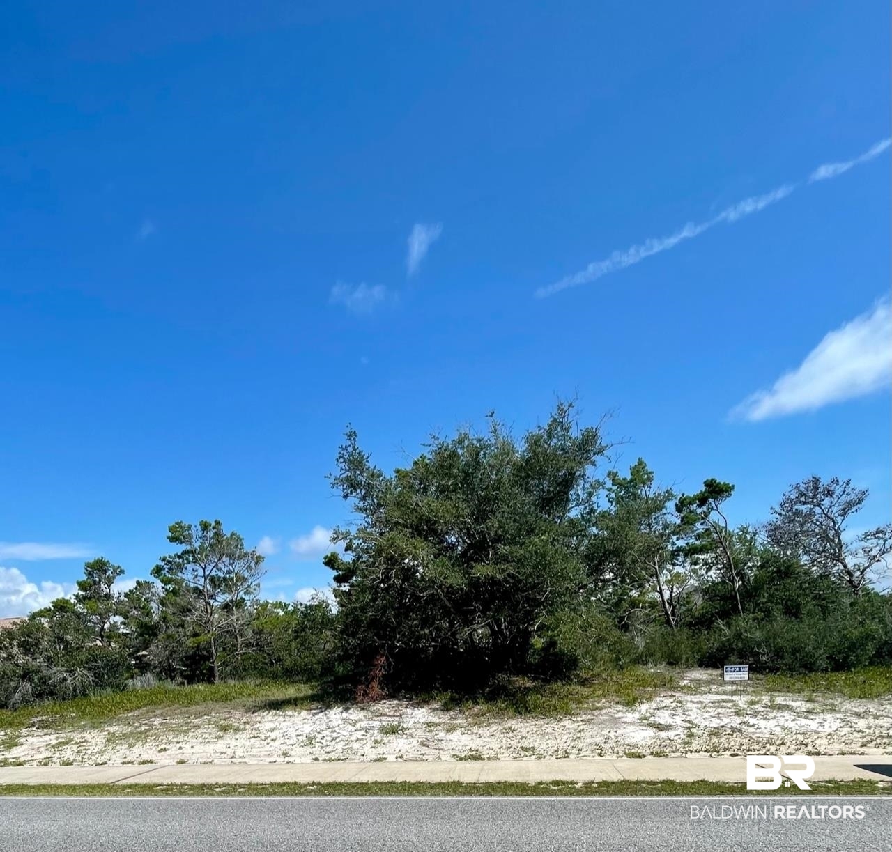 Lot 91 River Road Orange Beach, AL 36561 - Photo 5 of 10