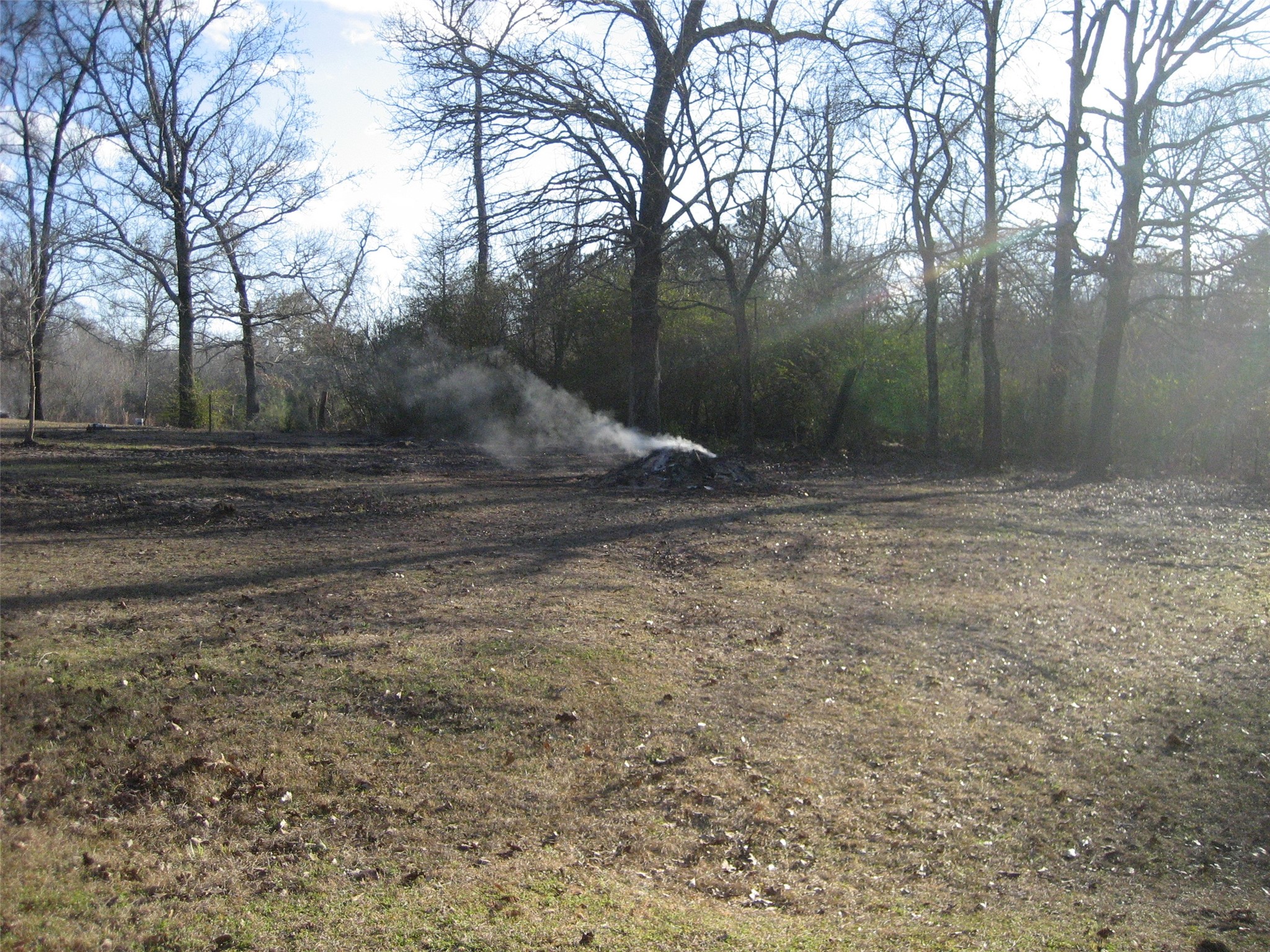 892 County Road 1850 Grapeland, TX 75844 - Photo 3 of 9 a backyard of a house with trees all around