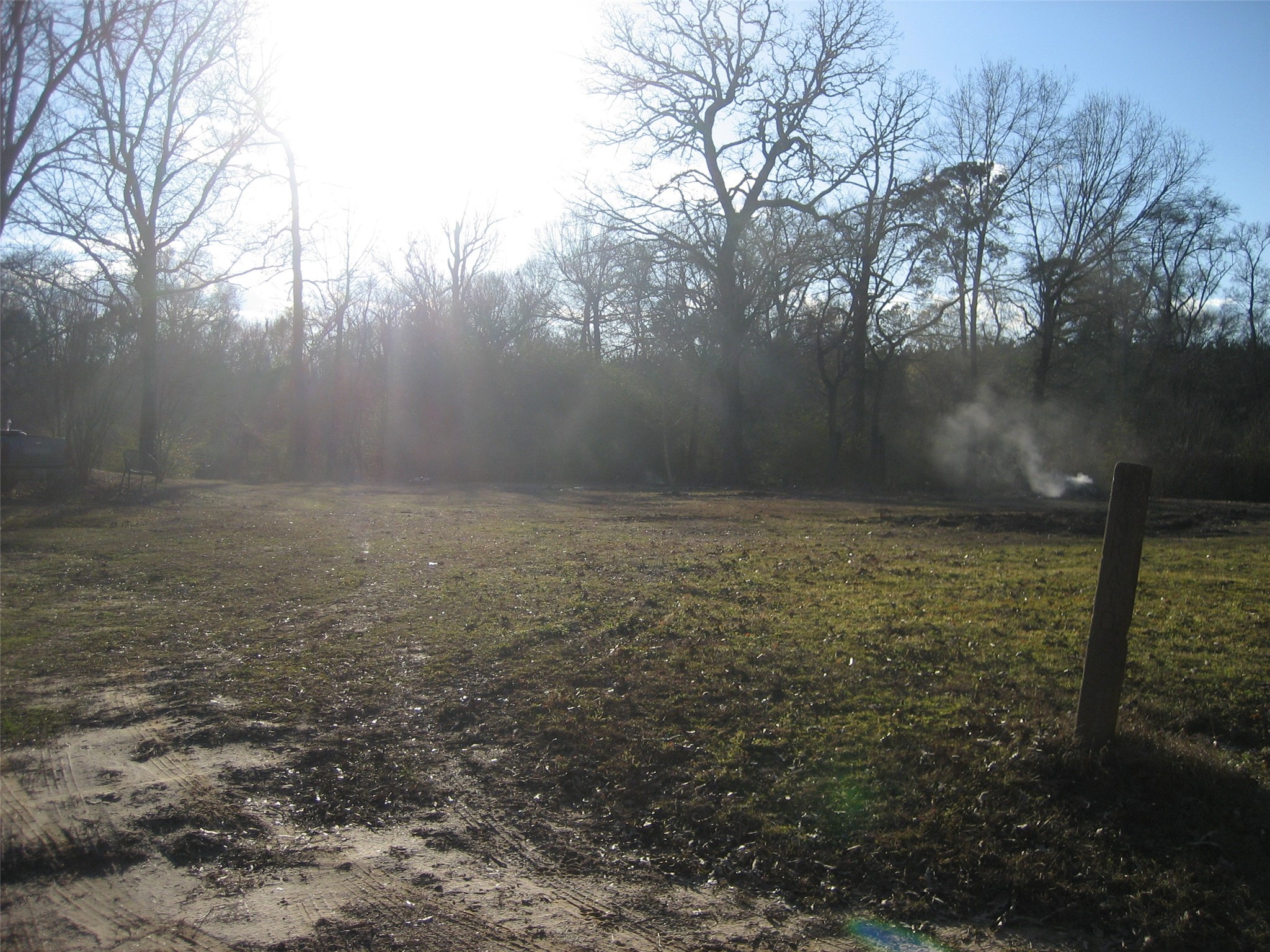 892 County Road 1850 Grapeland, TX 75844 - Photo 4 of 9 a view of yard with trees