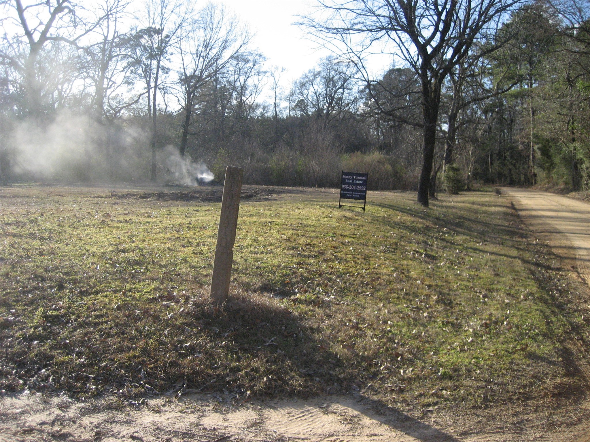 892 County Road 1850 Grapeland, TX 75844 - Photo 5 of 9 a view of a yard with large trees