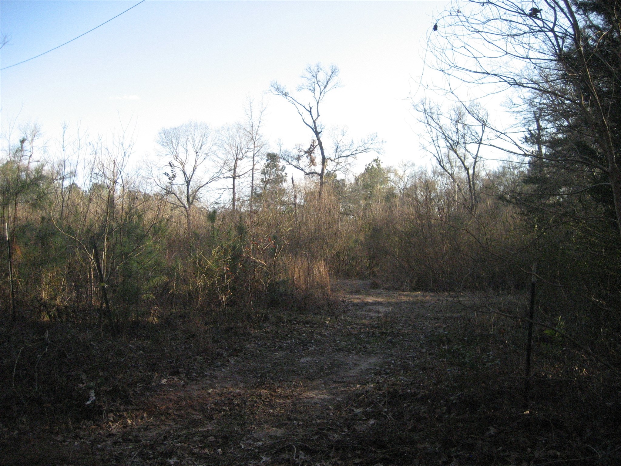 892 County Road 1850 Grapeland, TX 75844 - Photo 7 of 9 a view of outdoor space and yard