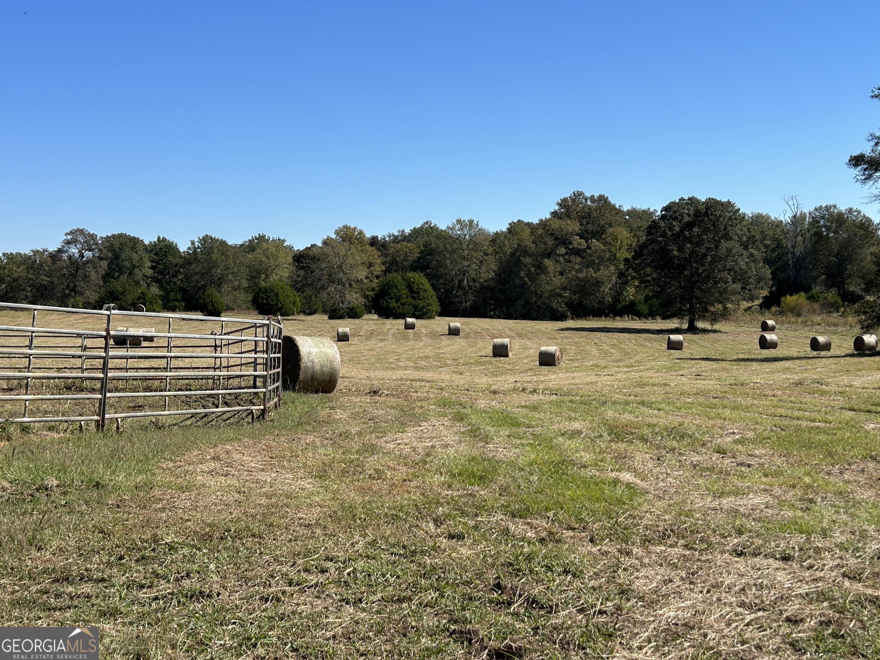 11190 Treadwell Road Forsyth, GA 31029 - Photo 5 of 40