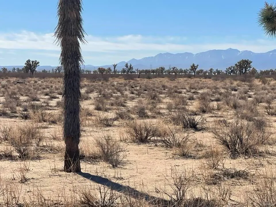 0 Vinton Road Adelanto, CA 92301 - Photo 27 of 31 a view of a city