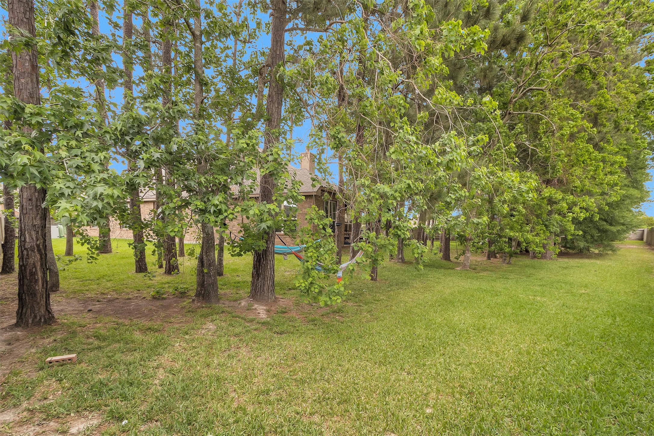 14105 Sun Notch Drive Conroe, TX 77384 - Photo 29 of 31 a view of a yard with trees