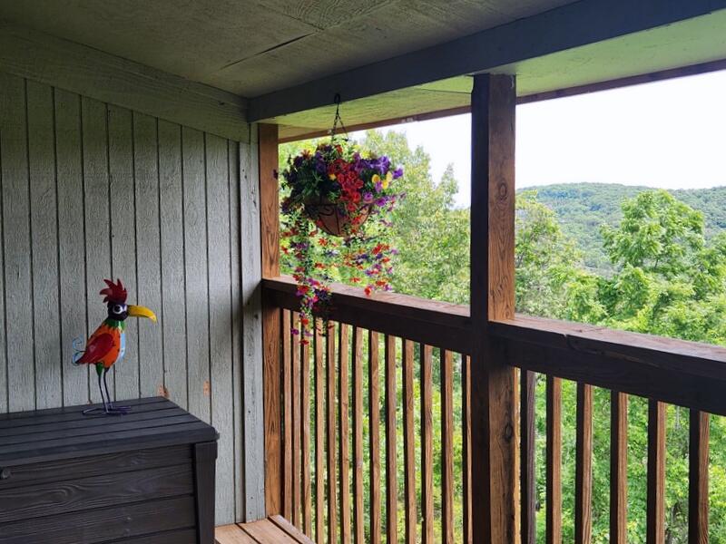 388 Notch Lane, Unit 12 Reeds Spring, MO 65737 - Photo 26 of 37 Relax & Enjoy