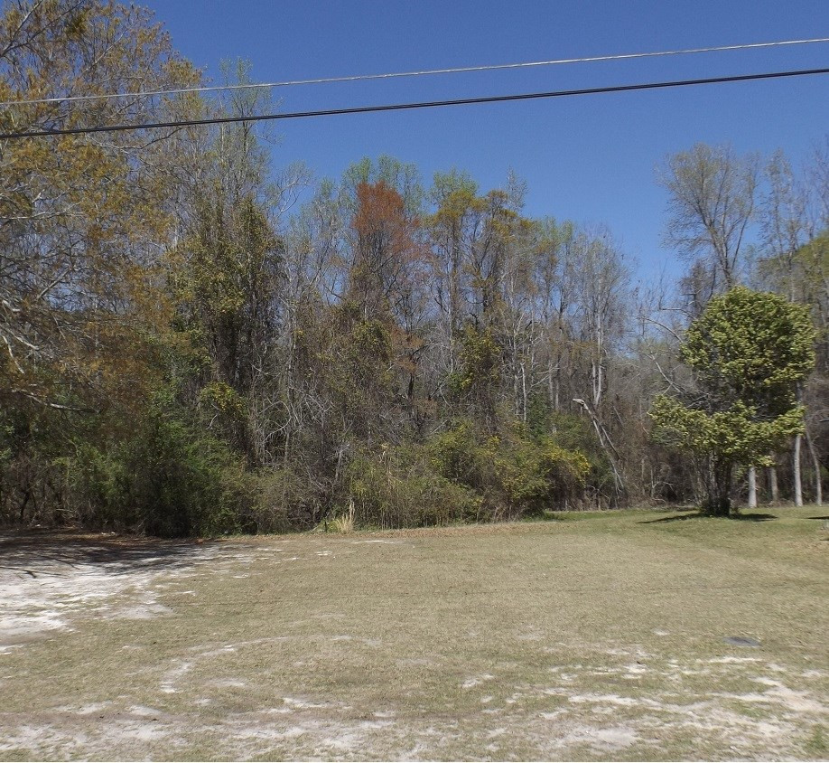 Tbd Branchview Drive Manning, SC 29102 - Photo 2 of 6