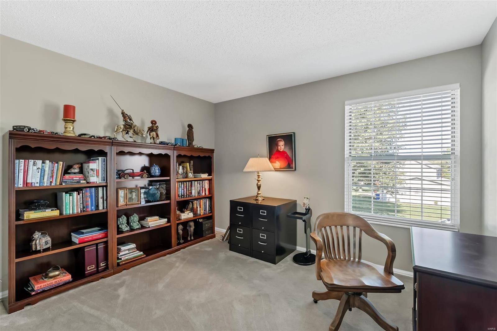 42 Connemara Road St. Peters, MO 63376 - Photo 28 of 30 Gallery Image 28