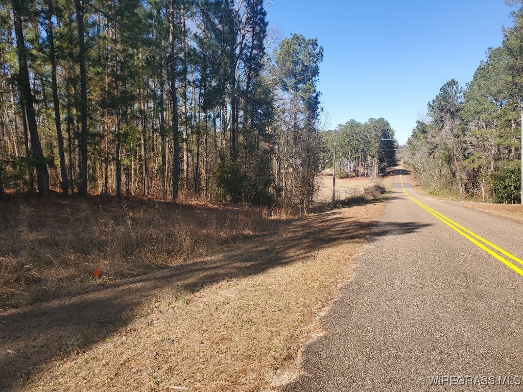 0 Mose Ware Road Ozark, AL 36360 - Photo 1 of 6 Gallery Image 1
