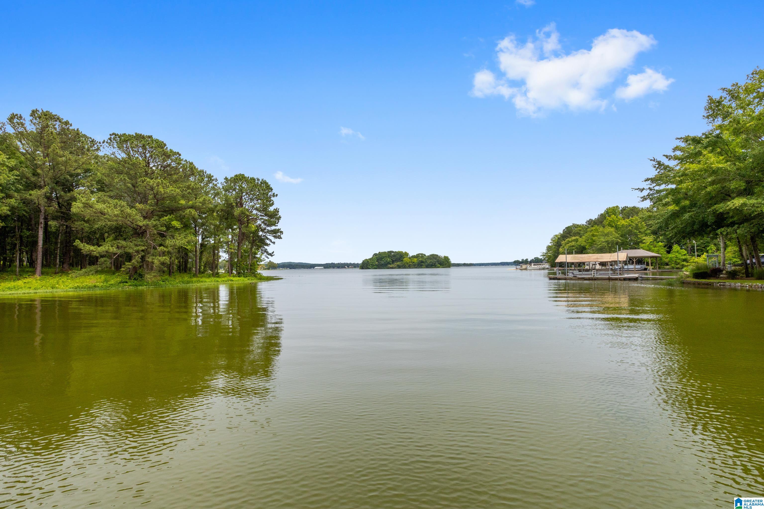 113 Harmons Island Road Cropwell, AL 35054 - Photo 53 of 61