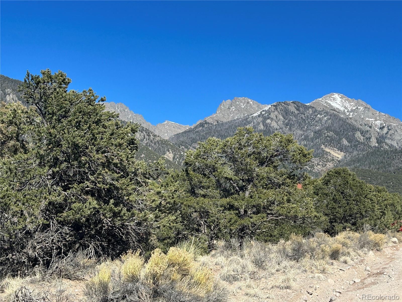 626 Panorama Way Crestone, CO 81131 - Photo 2 of 12 a view of a large tree