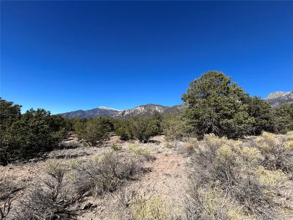 a view of a dry yard with mountains in the background