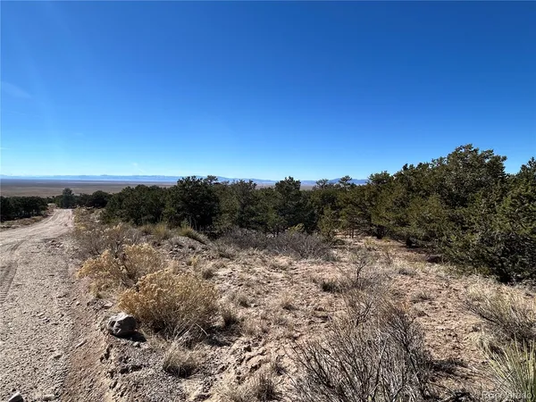 a view of a dry yard with wooden floor and city view