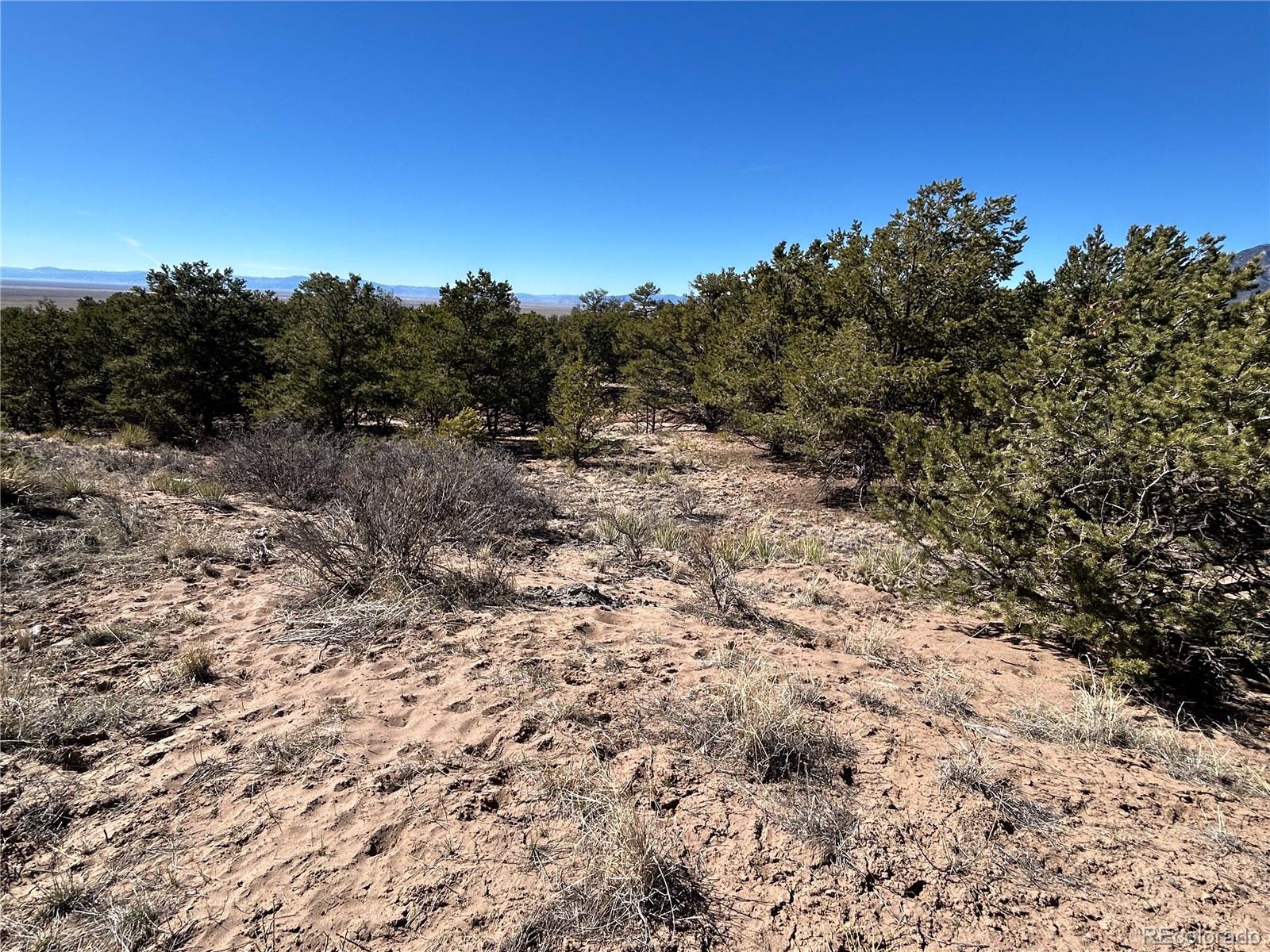 626 Panorama Way Crestone, CO 81131 - Photo 9 of 12 a view of a forest with a tree in the background
