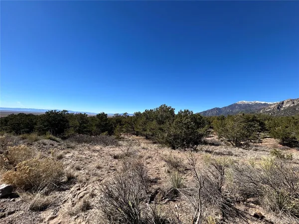 a view of a dry yard with mountains in the background