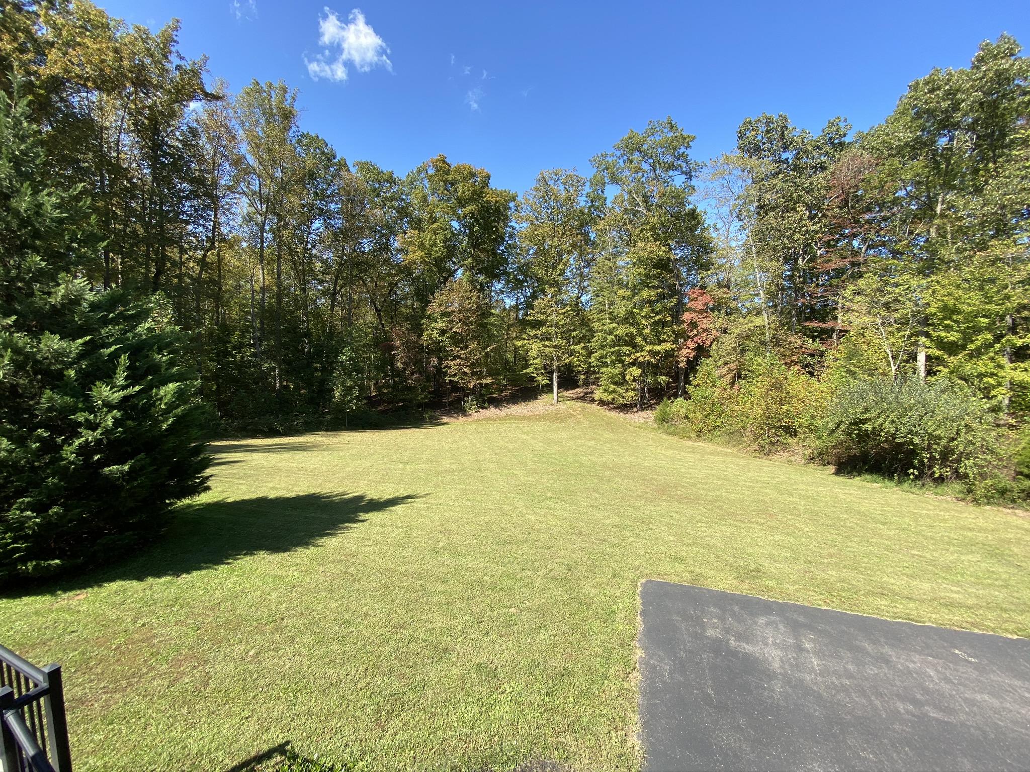 1733 Sample Road Wirtz, VA 24184 - Photo 35 of 80 35 Back Yard (1)
