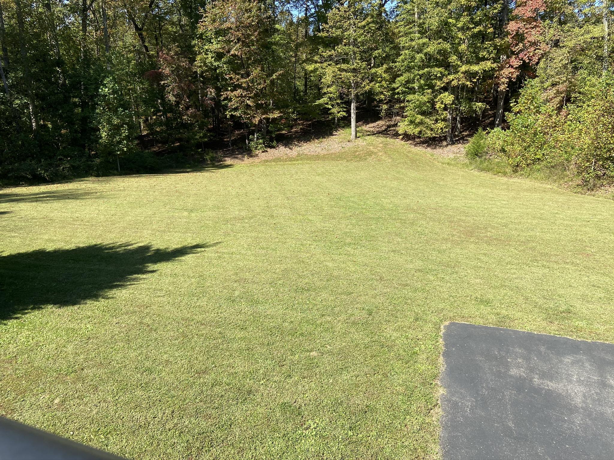 1733 Sample Road Wirtz, VA 24184 - Photo 77 of 80 88 Back Yard (2)