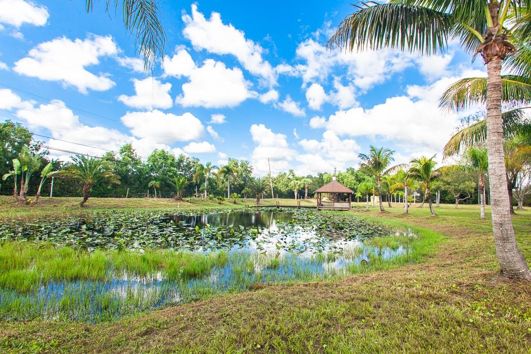 16784 Randolph Siding Road Jupiter, FL 33478 - Photo 9 of 42 lake
