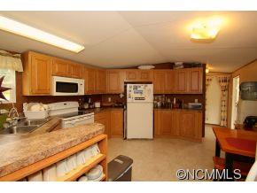 888 Gash Road Mills River, NC 28759 - Photo 4 of 22 Gallery Image 4