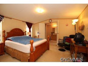 888 Gash Road Mills River, NC 28759 - Photo 6 of 22 Gallery Image 6